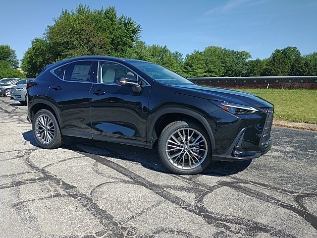 2025 Lexus NX 350 Luxury