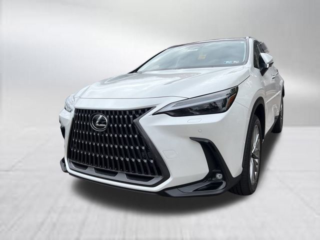 2025 Lexus NX 350 Luxury