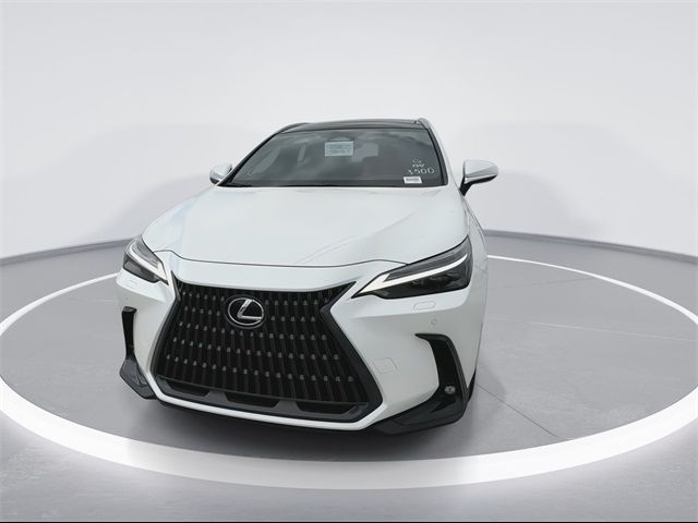 2025 Lexus NX 350 Luxury