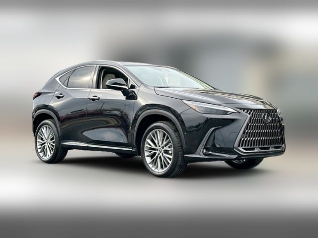 2025 Lexus NX 350 Luxury