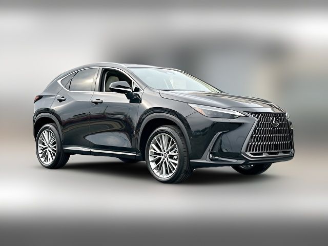 2025 Lexus NX 350 Luxury