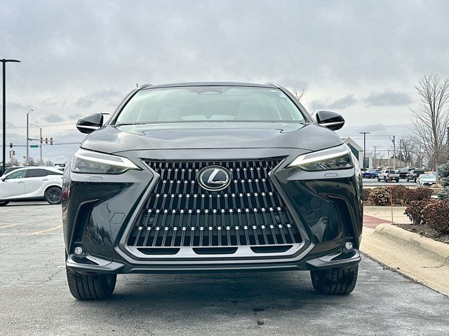 2025 Lexus NX 350 Luxury