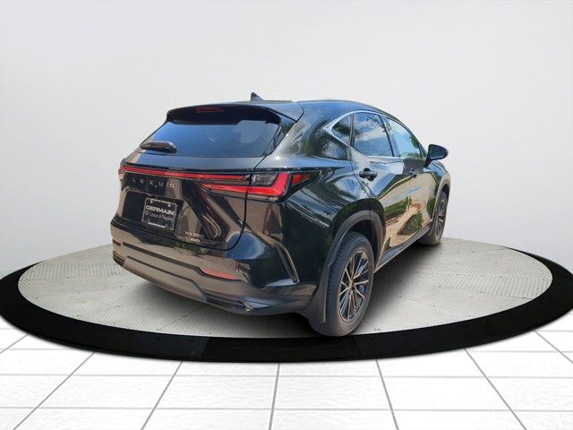 2025 Lexus NX 350