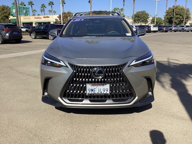 2025 Lexus NX 350 Premium