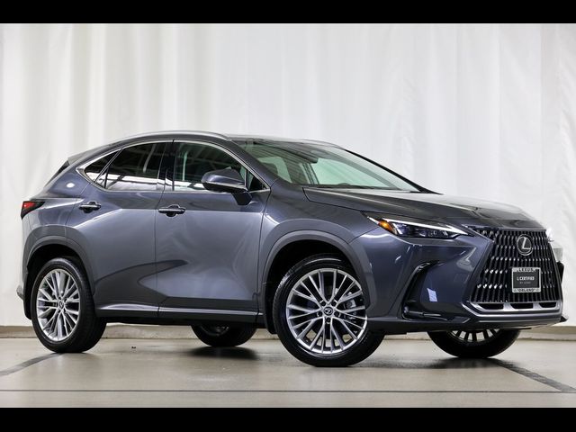 2025 Lexus NX 350