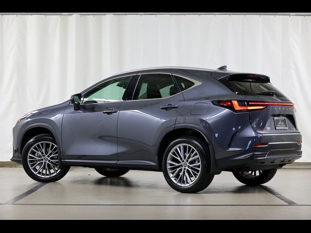 2025 Lexus NX 350