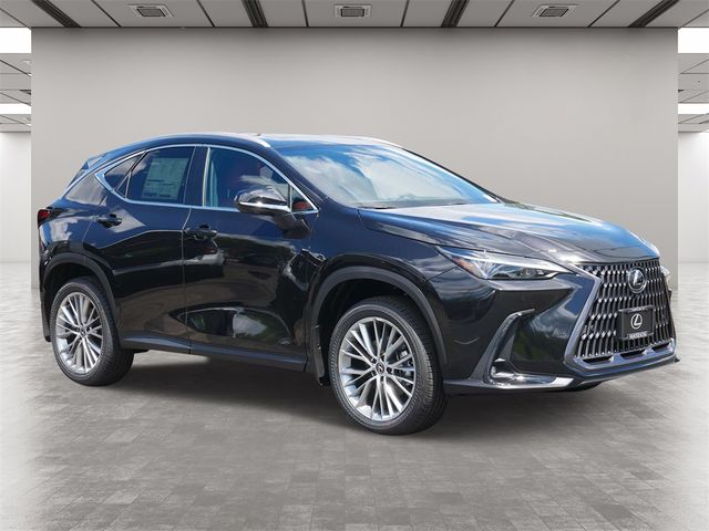 2025 Lexus NX 350