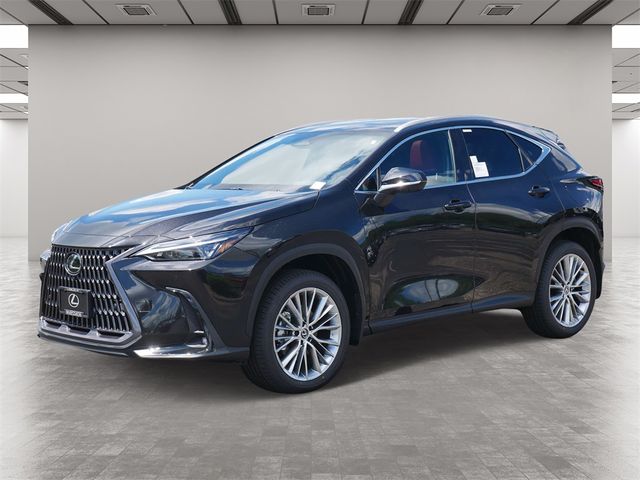 2025 Lexus NX 350