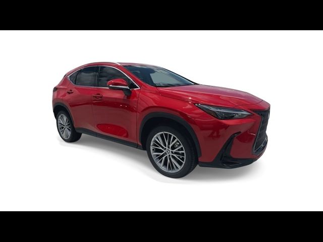 2025 Lexus NX 350 Premium