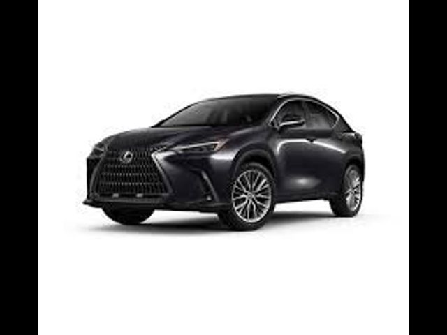 2025 Lexus NX 350 Premium