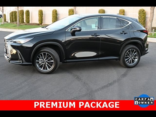 2025 Lexus NX 350 Premium