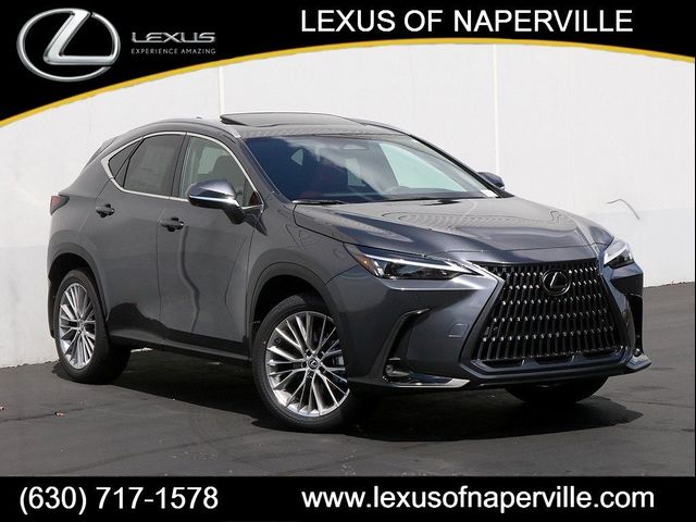 2025 Lexus NX 350 Premium