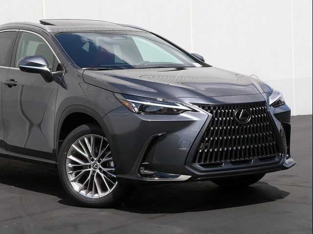 2025 Lexus NX 350 Premium