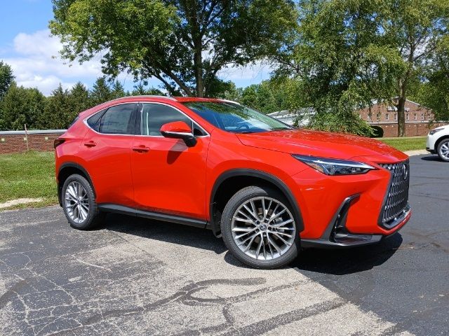 2025 Lexus NX 350 Premium