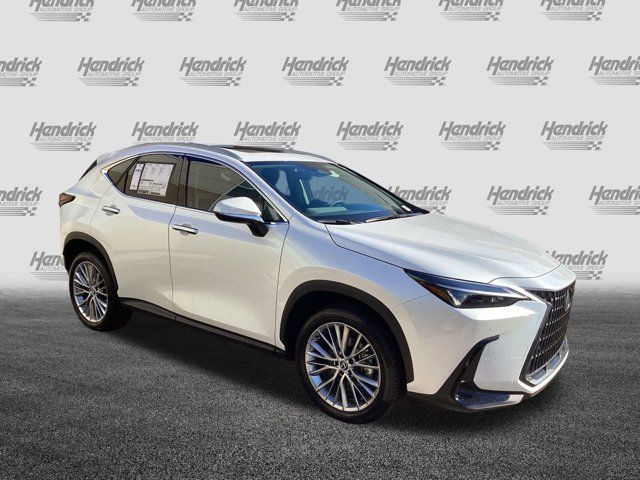 2025 Lexus NX 350 Premium