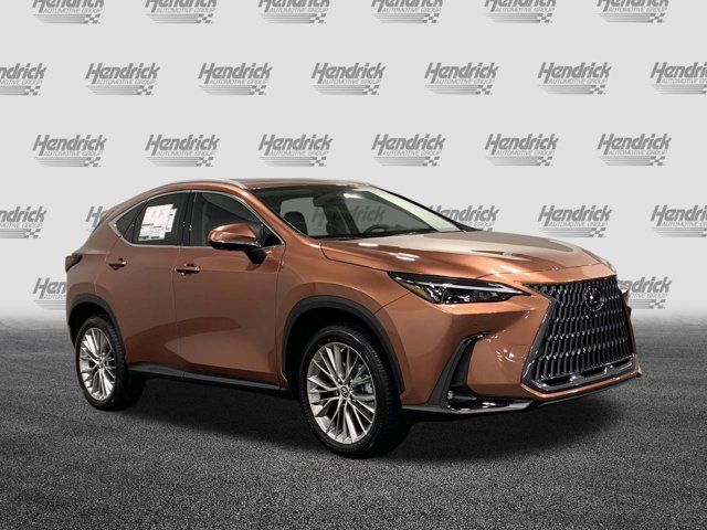 2025 Lexus NX 350 Premium