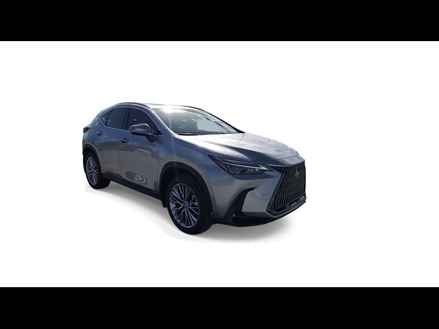 2025 Lexus NX 350 Premium