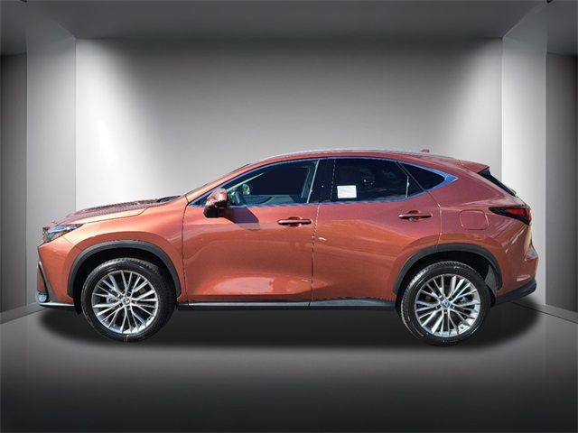 2025 Lexus NX 350 Premium