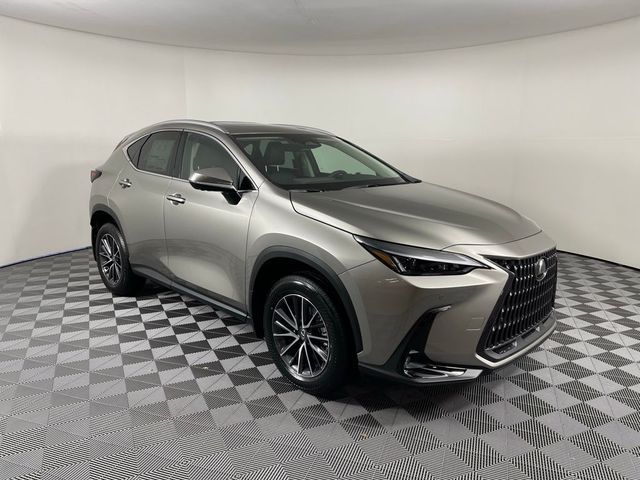 2025 Lexus NX 350 Premium