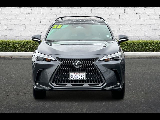 2025 Lexus NX 350 Premium