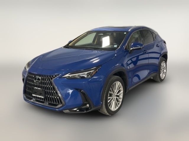 2025 Lexus NX 350 Premium