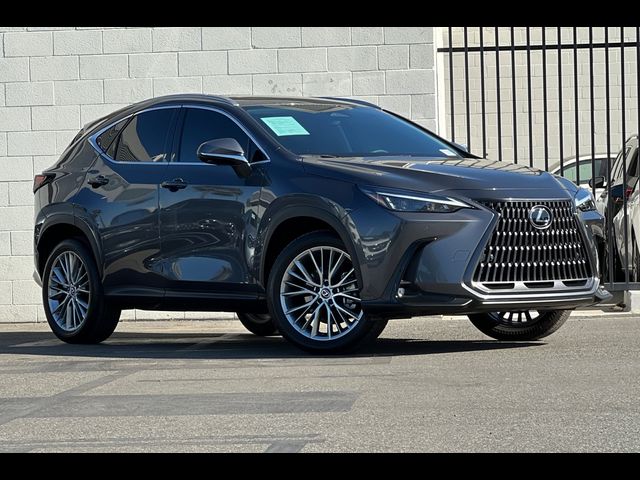 2025 Lexus NX 350 Premium