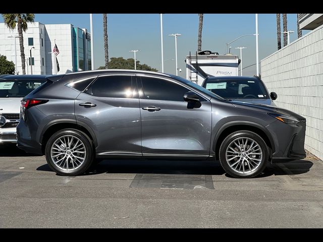 2025 Lexus NX 350 Premium