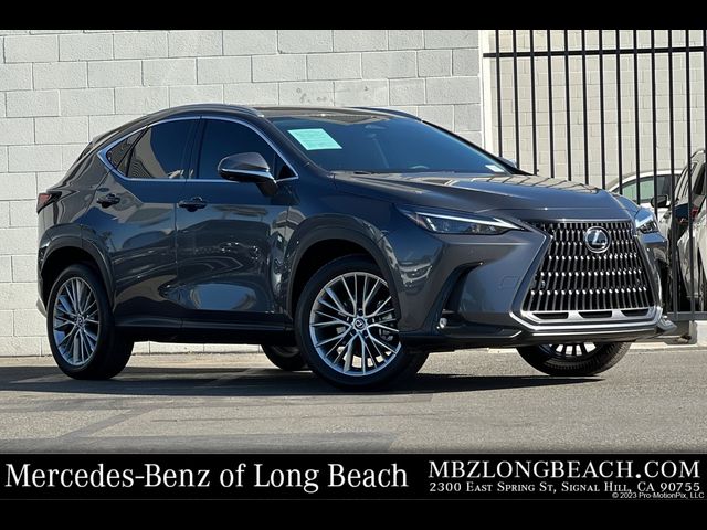 2025 Lexus NX 350 Premium