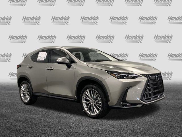 2025 Lexus NX 350 Premium