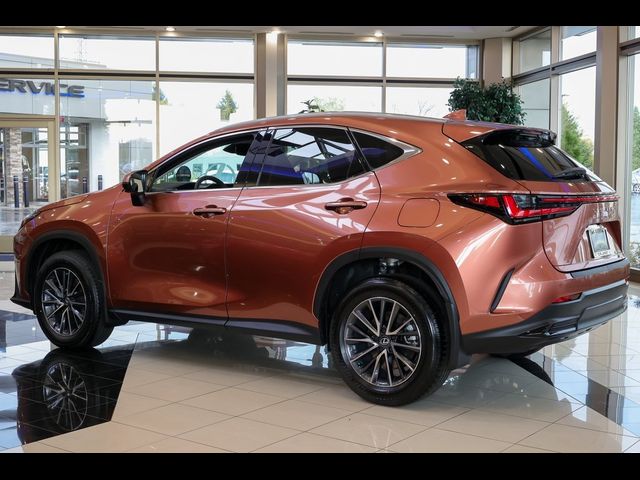 2025 Lexus NX 350 Premium