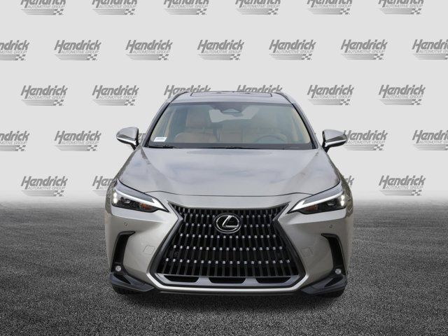 2025 Lexus NX 350 Premium