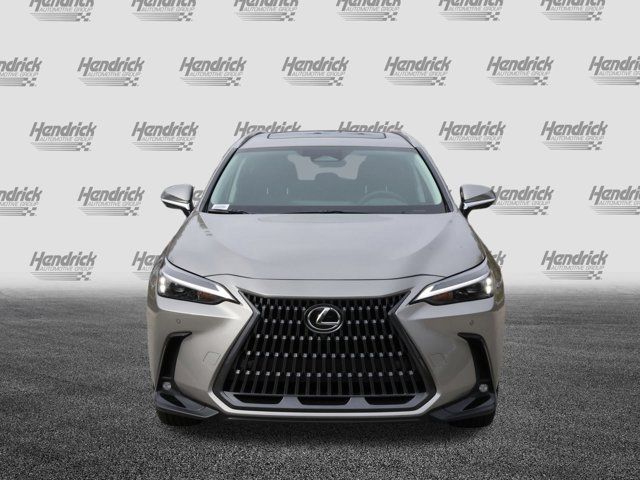 2025 Lexus NX 350 Premium