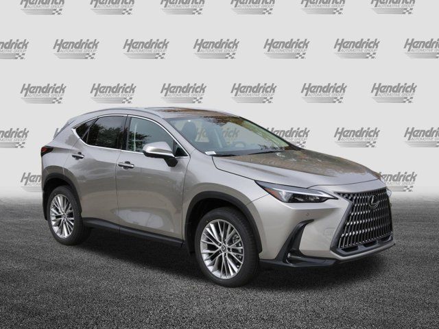 2025 Lexus NX 350 Premium