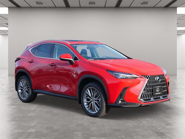 2025 Lexus NX 350 Premium