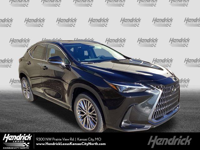 2025 Lexus NX 350 Premium