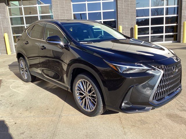 2025 Lexus NX 350 Premium