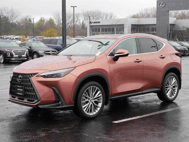 2025 Lexus NX 350