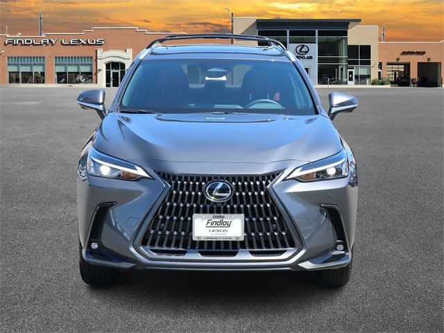 2025 Lexus NX 350