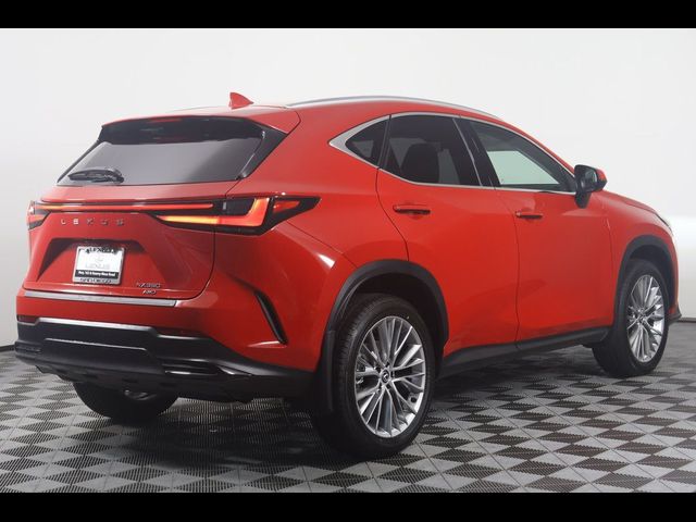 2025 Lexus NX 350 Premium