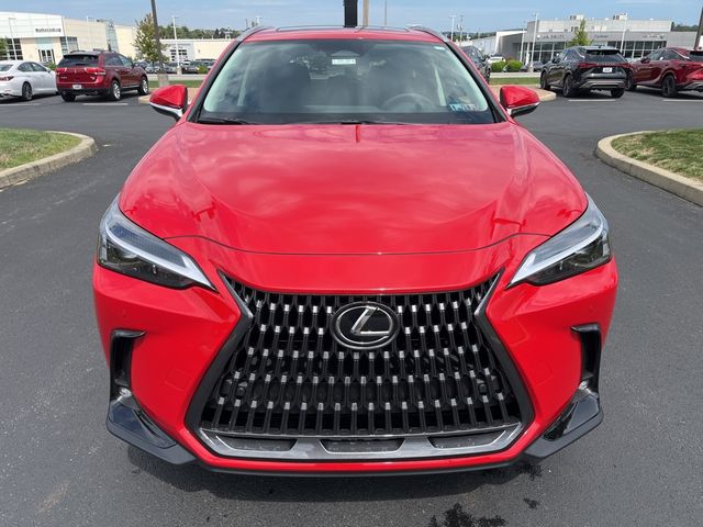 2025 Lexus NX 350 Premium