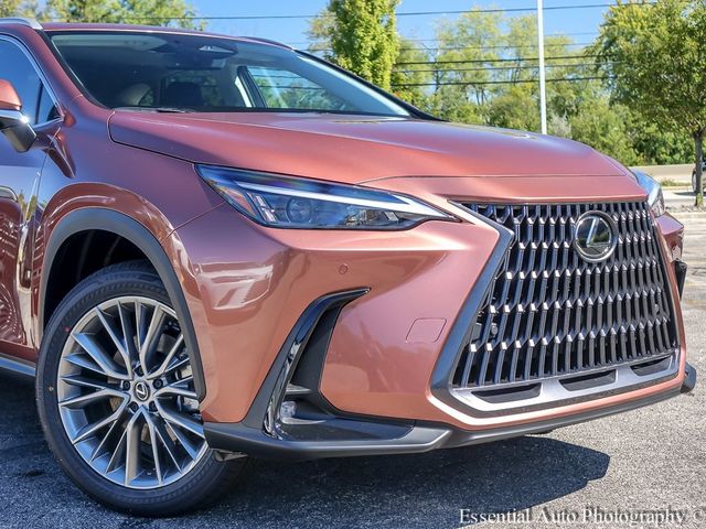 2025 Lexus NX 350 Premium