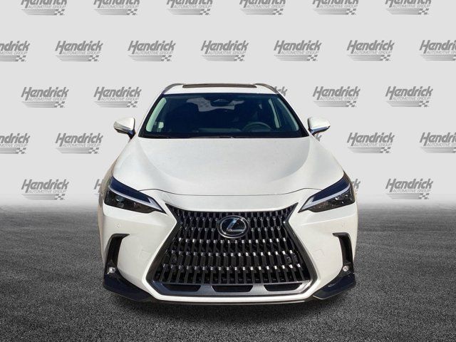 2025 Lexus NX 350 Premium