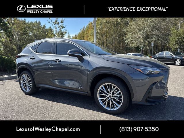 2025 Lexus NX 350 Premium