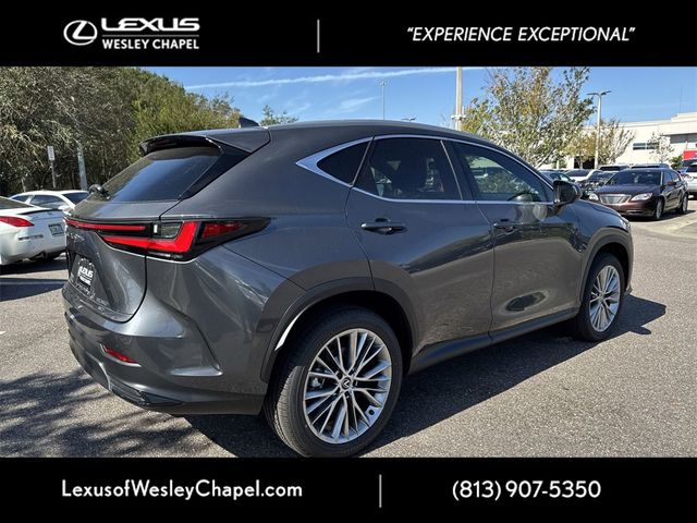 2025 Lexus NX 350 Premium