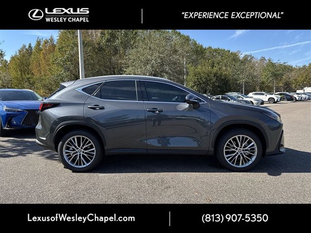 2025 Lexus NX 350 Premium