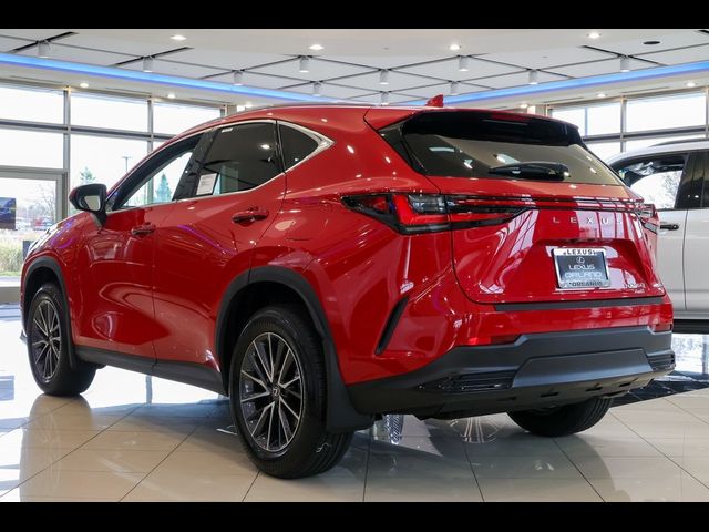 2025 Lexus NX 350 Premium