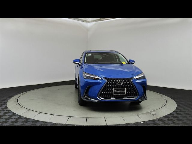 2025 Lexus NX 350 Premium