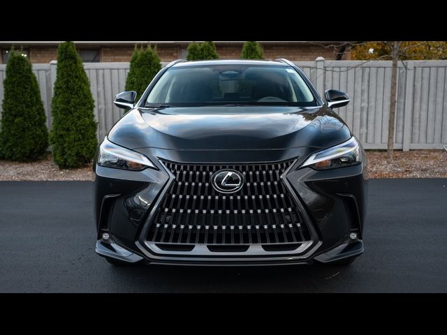 2025 Lexus NX 350 Premium