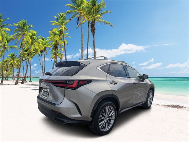 2025 Lexus NX 350 Premium