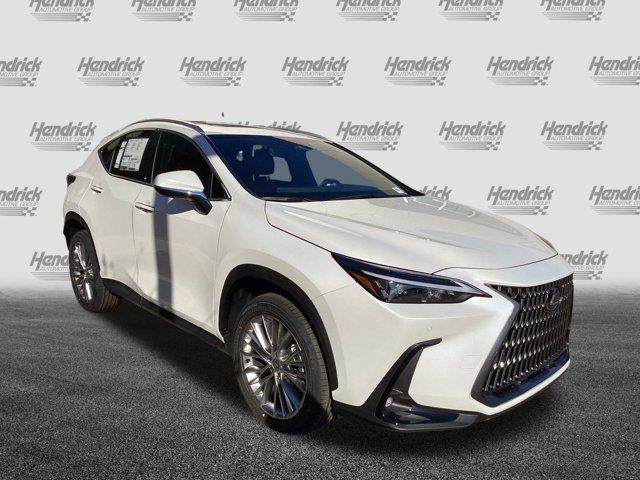 2025 Lexus NX 350 Premium